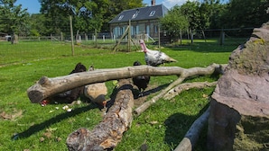 A rustic outdoor setting with a large log structure, a stone wall, and a house in the background. - THE PIRATES FARM (MANNEVILLE la raoult)