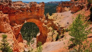 A natural rock arch formation with surrounding forested areas.