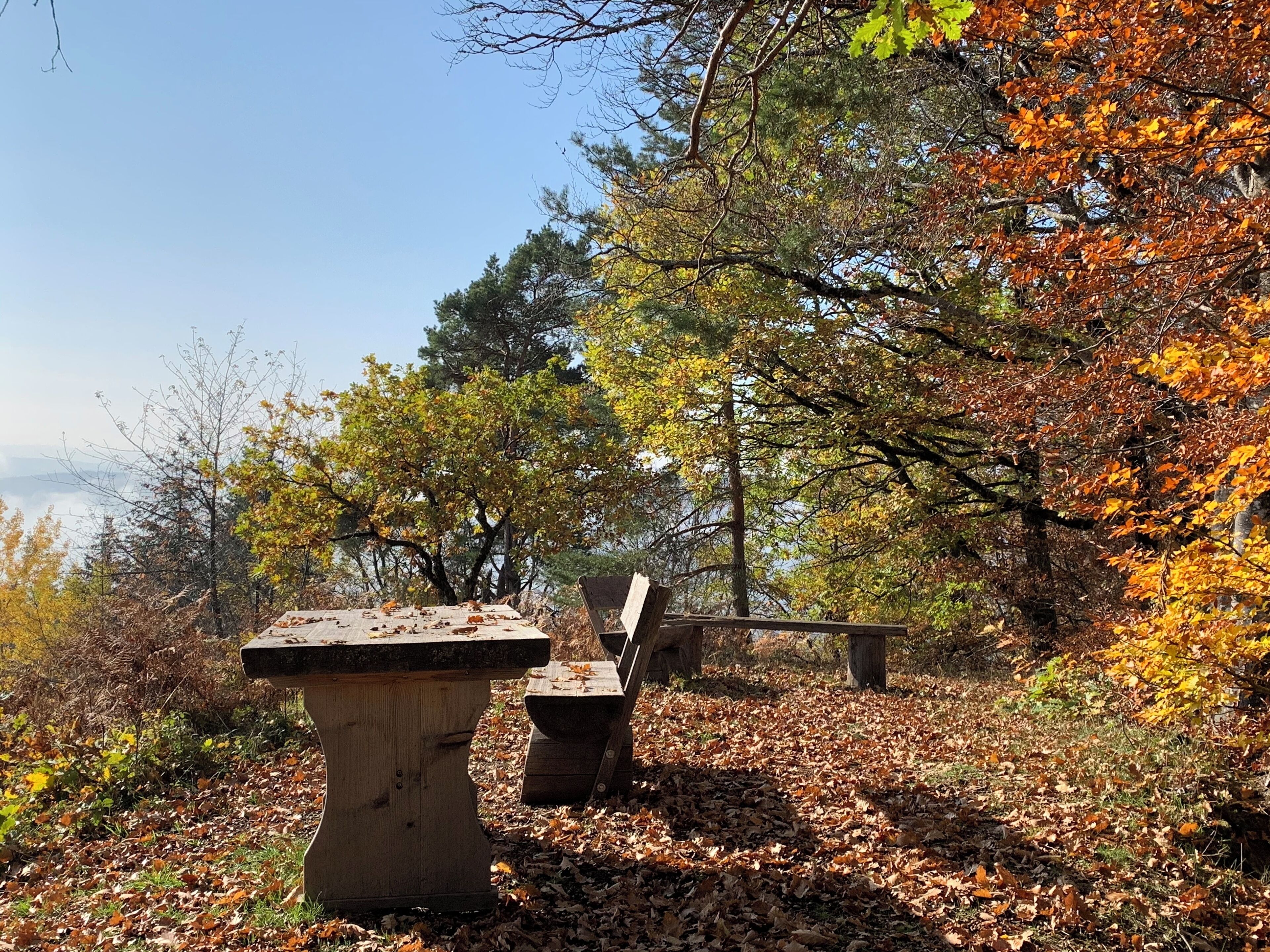 Two stone benches in a park with autumn leaves on the ground.
