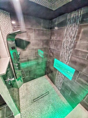 Shower, hair dryer, bidet, towels