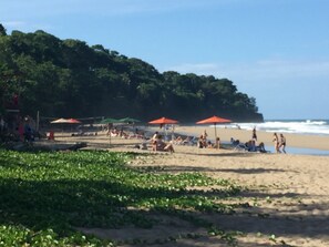 Pantai di sekitar, pasir hitam, dan bar pantai