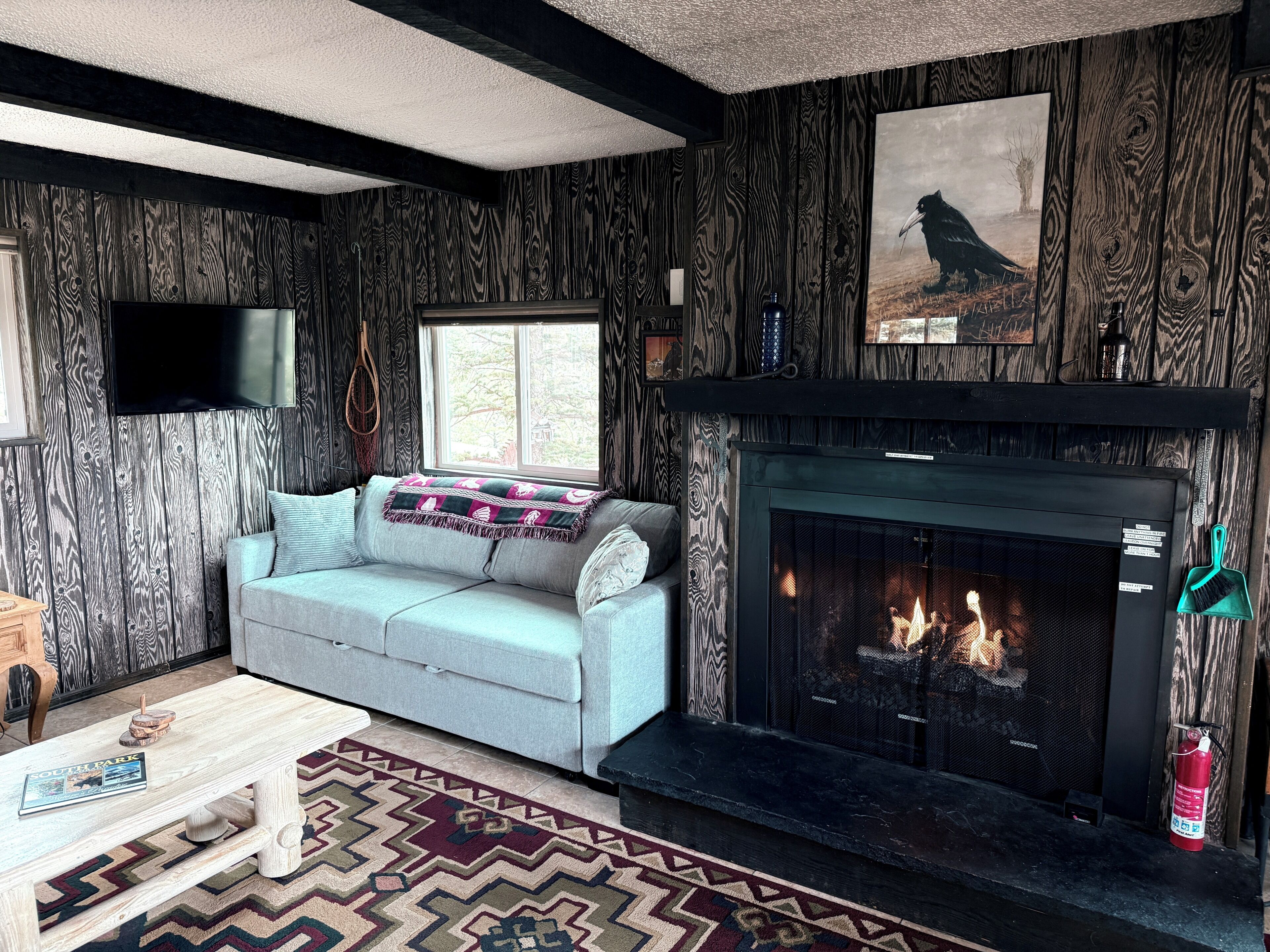 Smart TV, fireplace, DVD player, books
