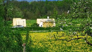 Een landelijke omgeving met een veld vol gele bloemen, een klein gebouw en besneeuwde bergen op de achtergrond.