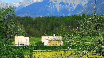 Zelt | Blick auf die Berge