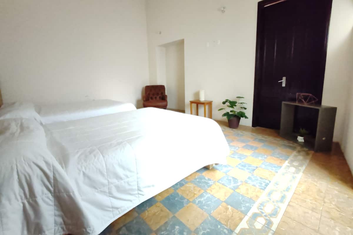 Una habitación de hotel con una cama, una silla, una mesita, una planta en maceta y una puerta.