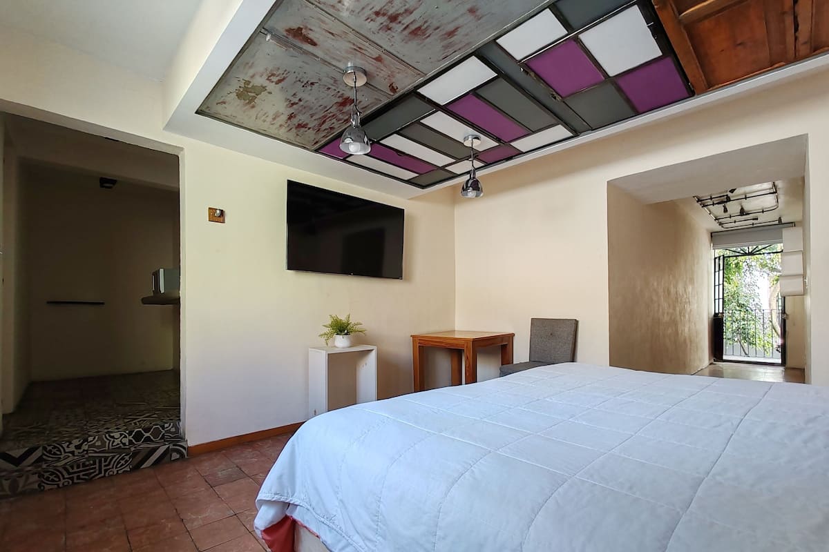 Un dormitorio con cama, televisión, una mesita pequeña y una planta en maceta.