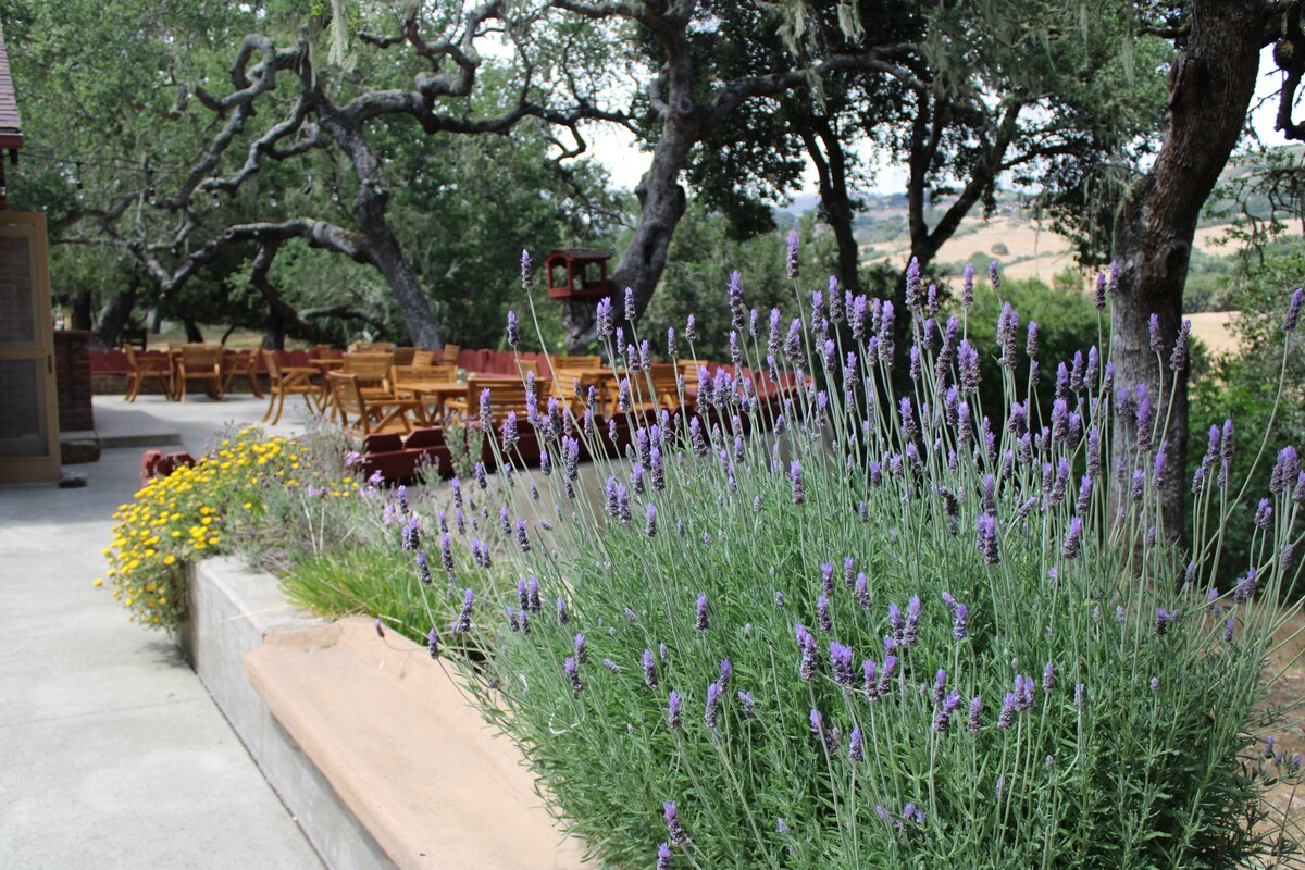 Photo 25 of Camp at Carmel Valley- Unique Getaway! 60 ppl or more!