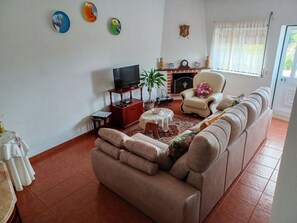 Fernseher