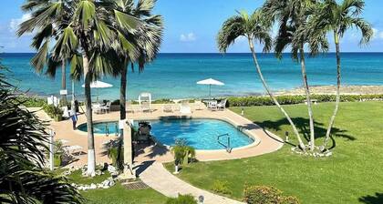 Tolle Aussicht - Tolles Schnorcheln in diesem modernen 2 BR-Kokos # 8 von Cayman Vacation