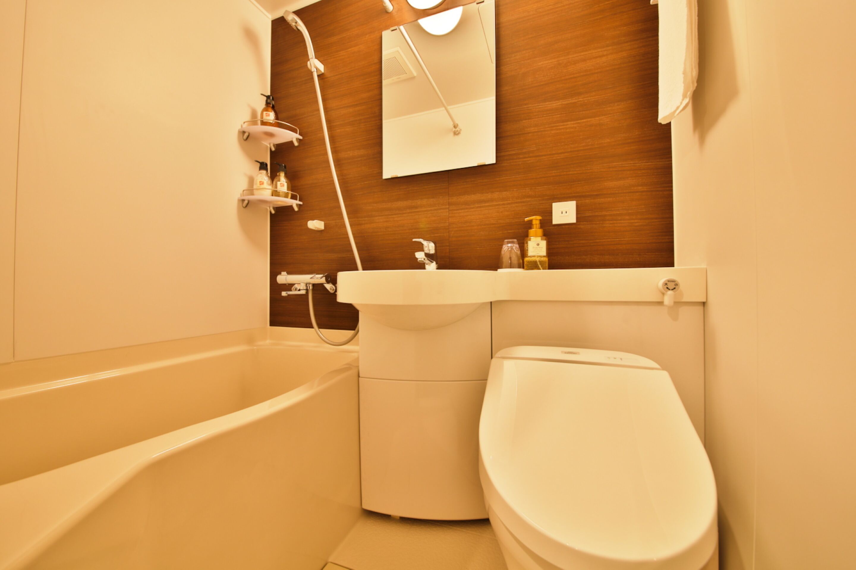 combined shower/bathtub, hair dryer, slippers, electronic bidet