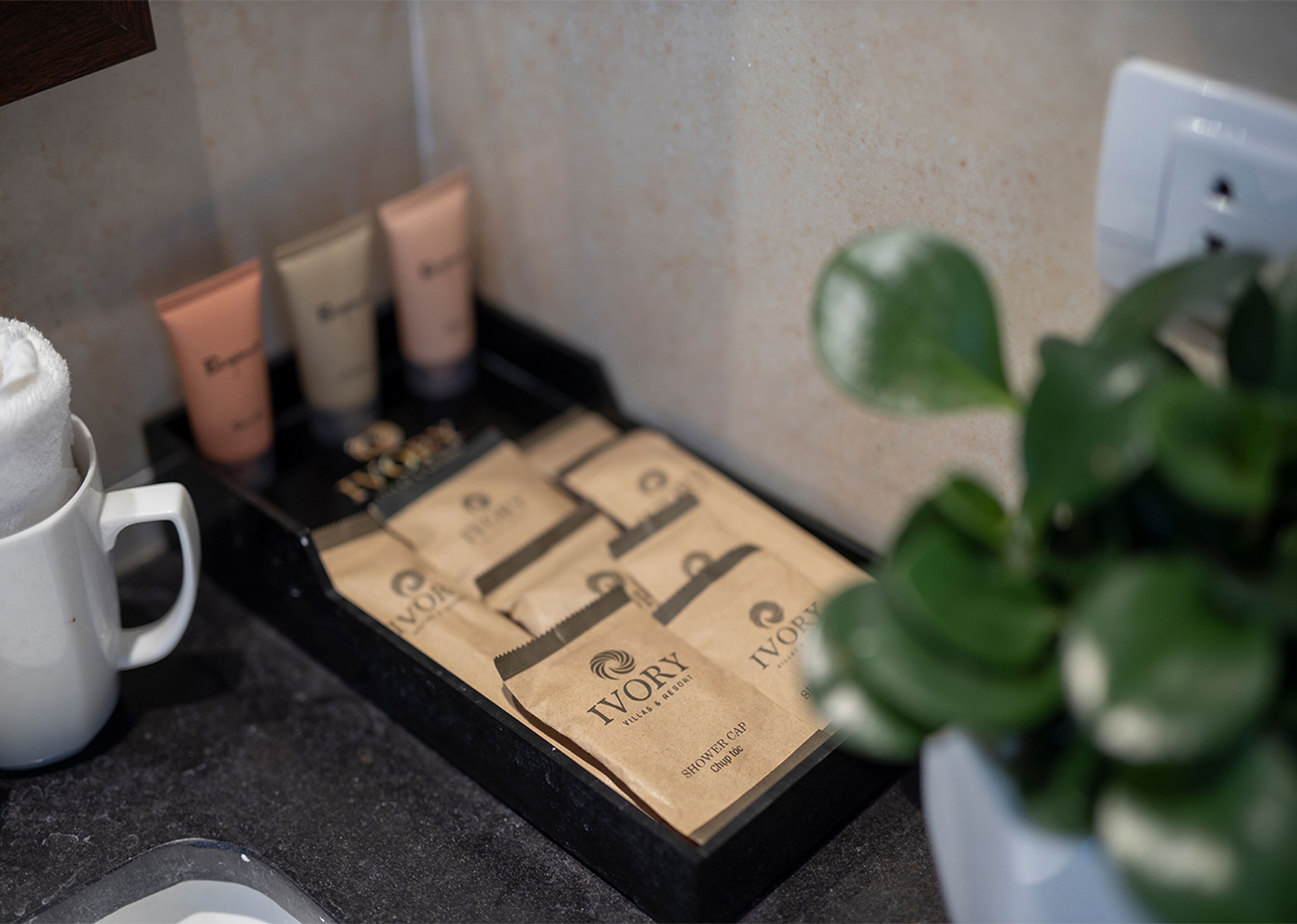 Shower, hydromassage showerhead, designer toiletries, hair dryer