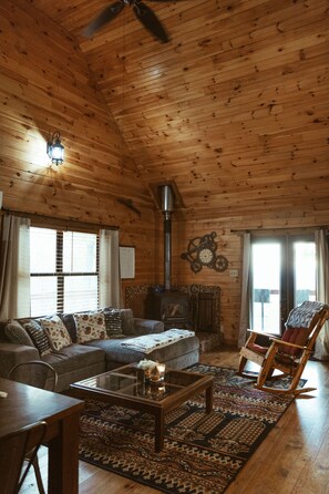 Televisio, takka, videopelejä, DVD-soitin