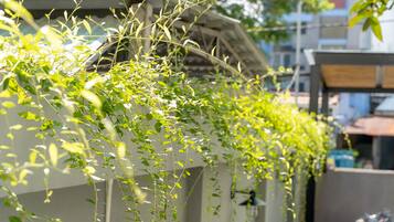 Deluxe Room | Garden