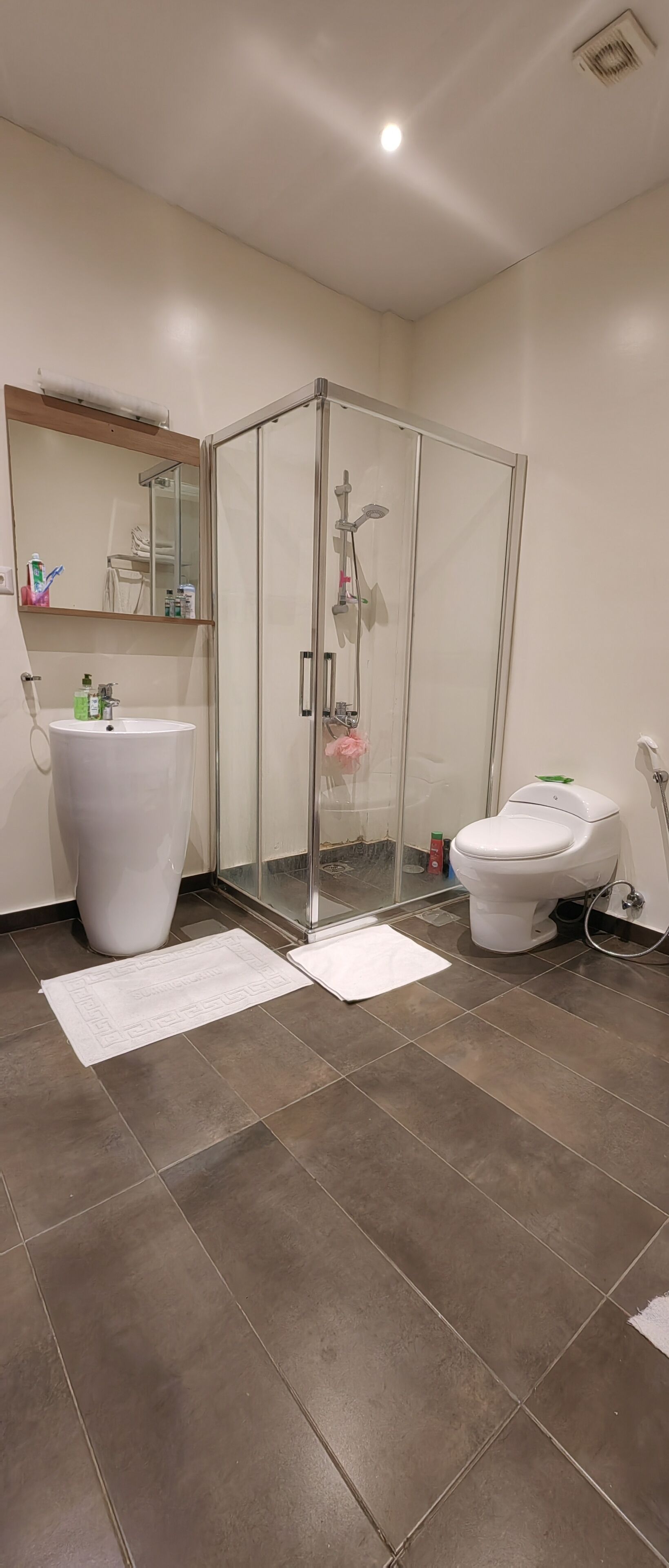 Une salle de bain avec un grand lavabo blanc, une douche à parois de verre et des toilettes.