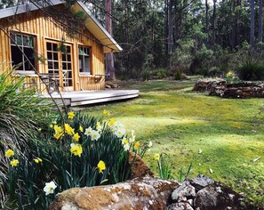 BBQ/picnic Area - Saintys Creek Cottage (South Bruny)