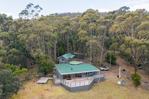 Una casa moderna con techo verde, rodeada de un bosque denso.