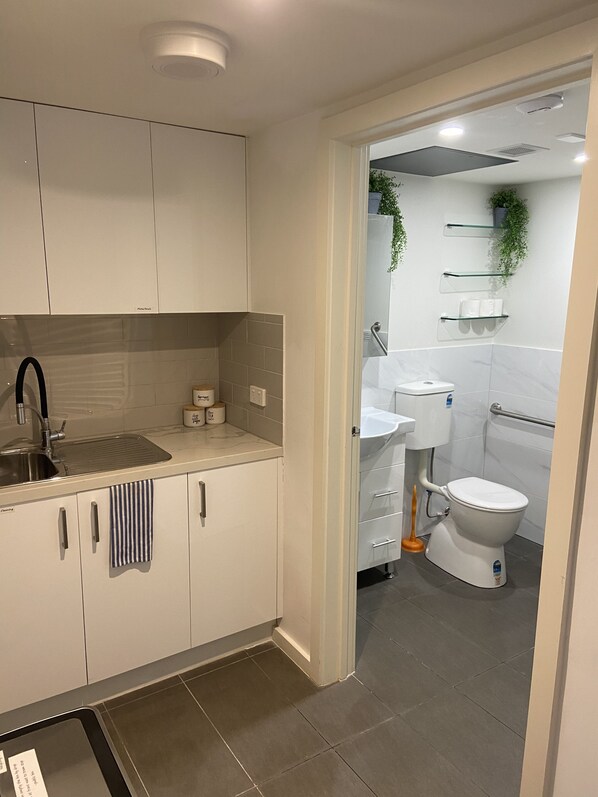 A modern kitchen with a sink, cabinets, and a countertop.
