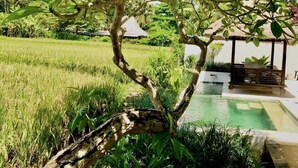 A tree with a twisted trunk in a lush green field, a pool, and a thatched-roof structure in the background. - Ubud's Hidden Gem: Experience Luxury in Nature's Lap, Near the gates of Ubud. (Ubud)