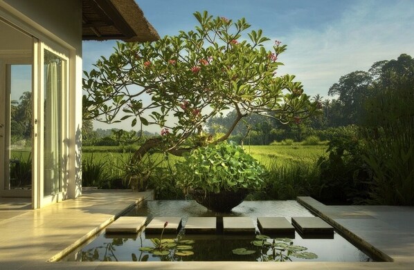 A serene garden with a water feature and a lush tree in the foreground.