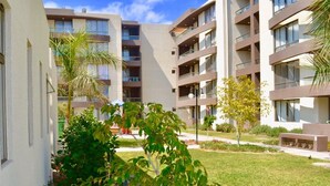A modern multi-story building with balconies, surrounded by well-maintained lawns and palm trees. - Apartment Alma Surire pool view (Arica)