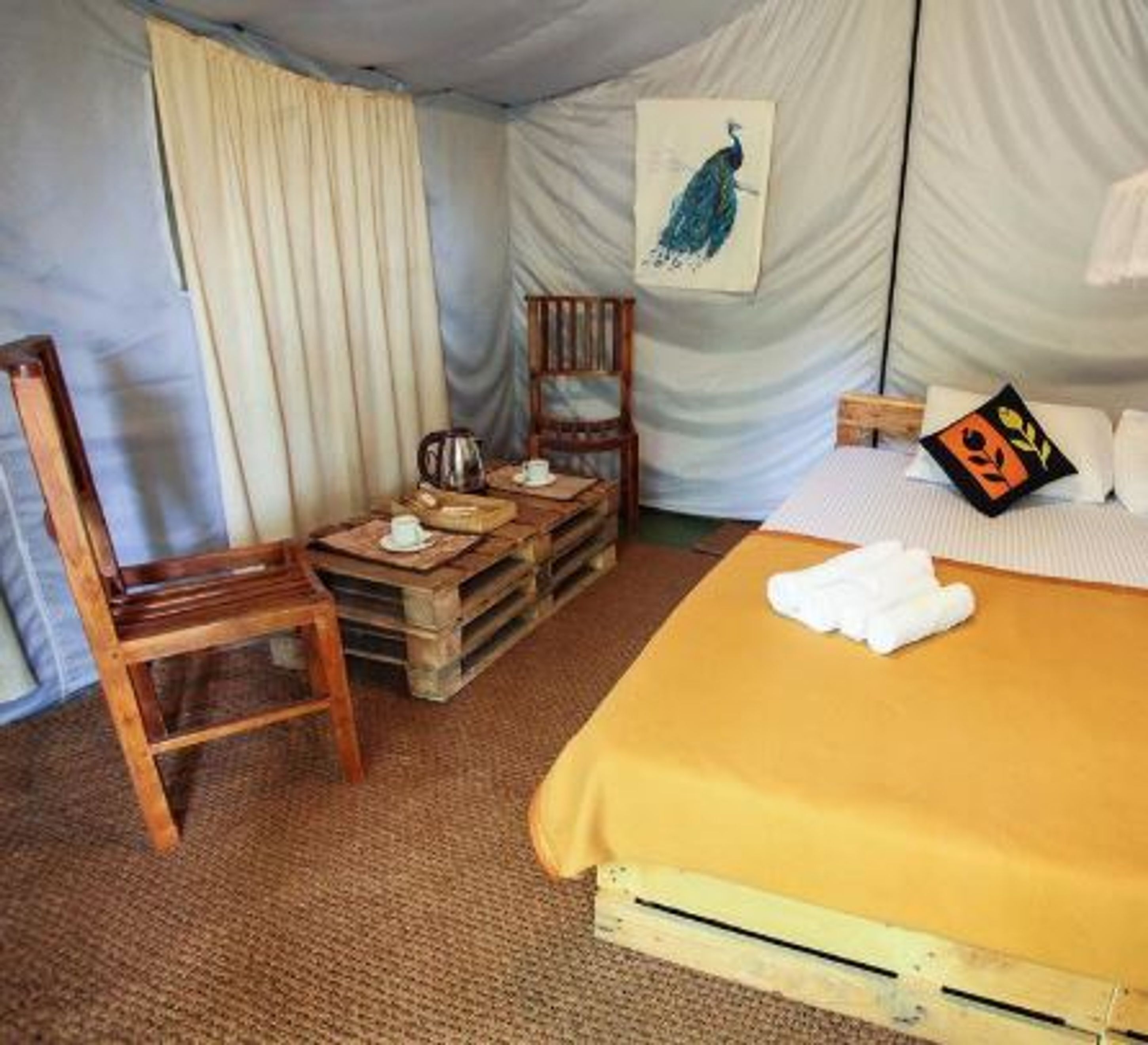 Tente Luxe | Wi-Fi gratuit