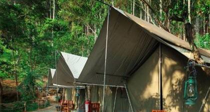 Ella Glamping