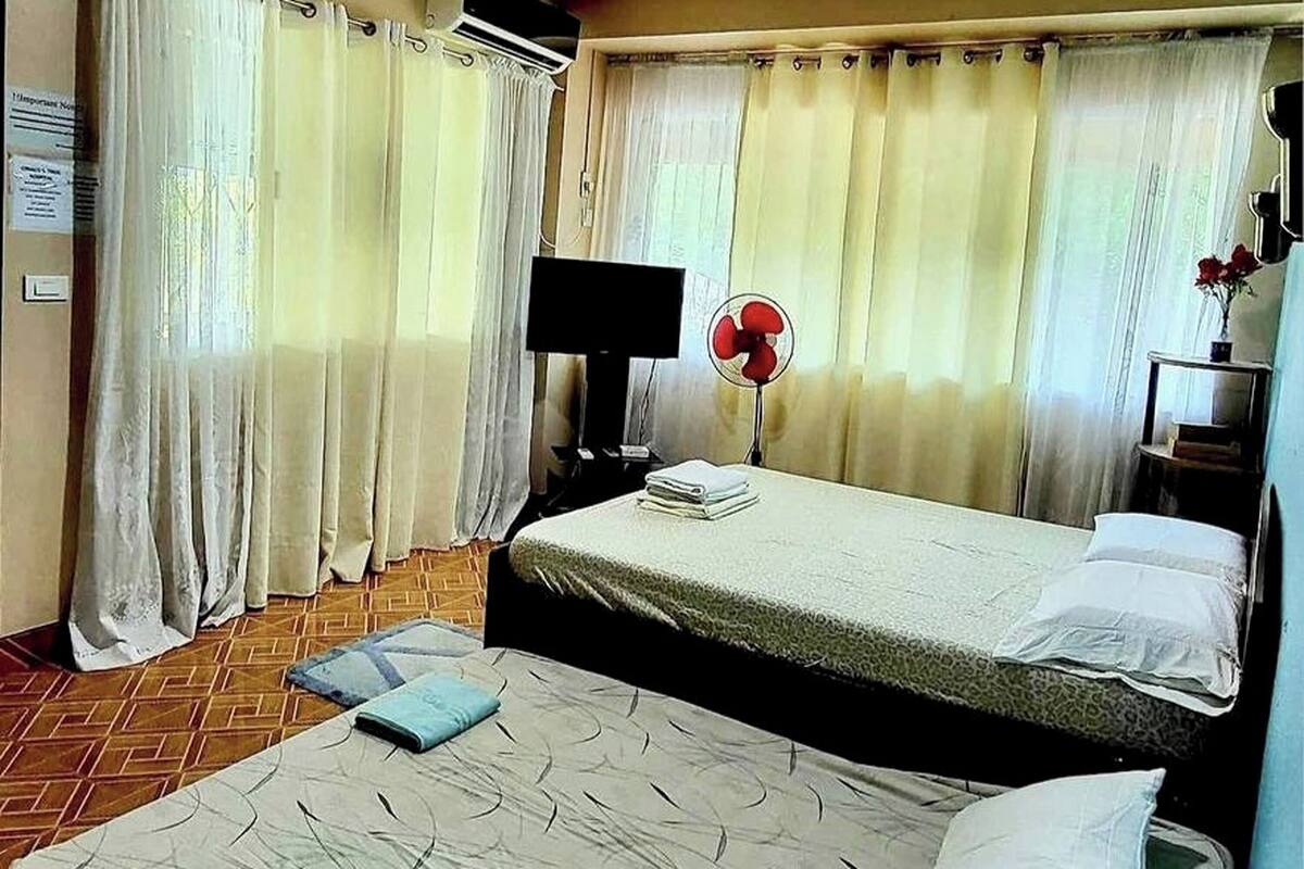 A hotel room with a bed, a flat-screen TV, a standing fan, and a small table with a vase of flowers.