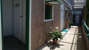 رواق