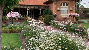 A two-story house with a red tiled roof, a brick facade, and a covered porch. - Forgandenny Bed & Breakfast (Mudgee)