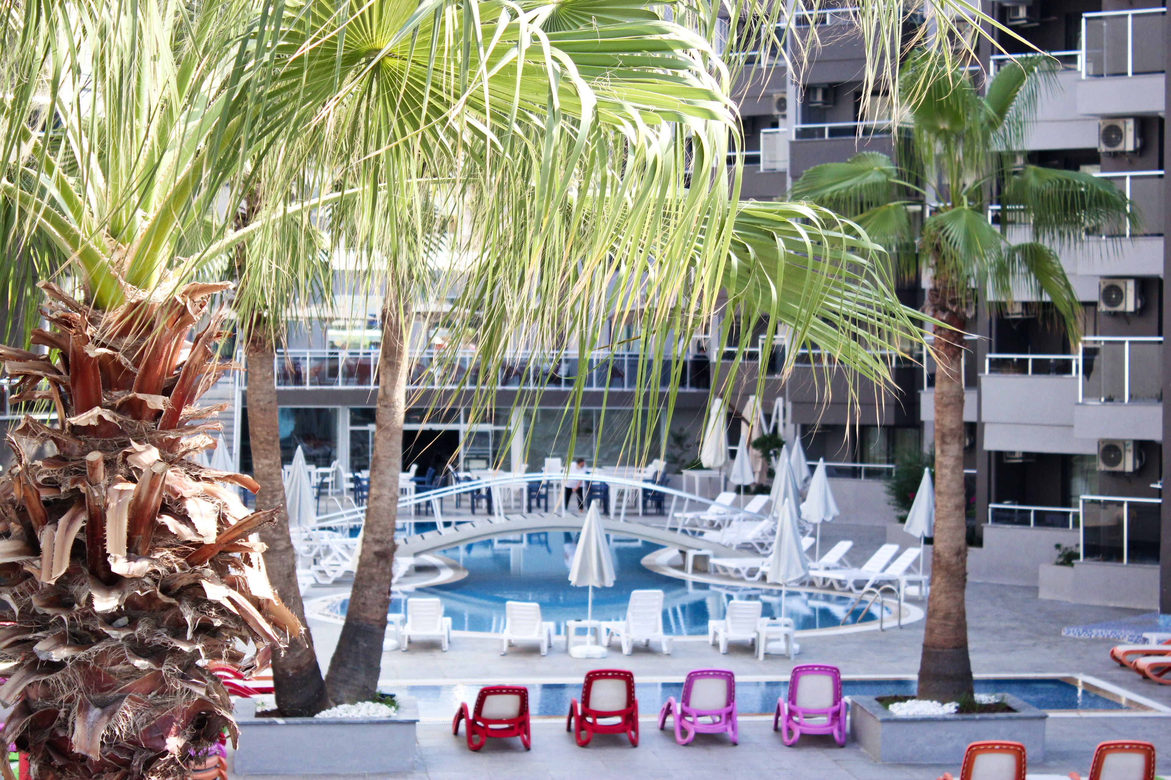A pool area with lounge chairs and palm trees.