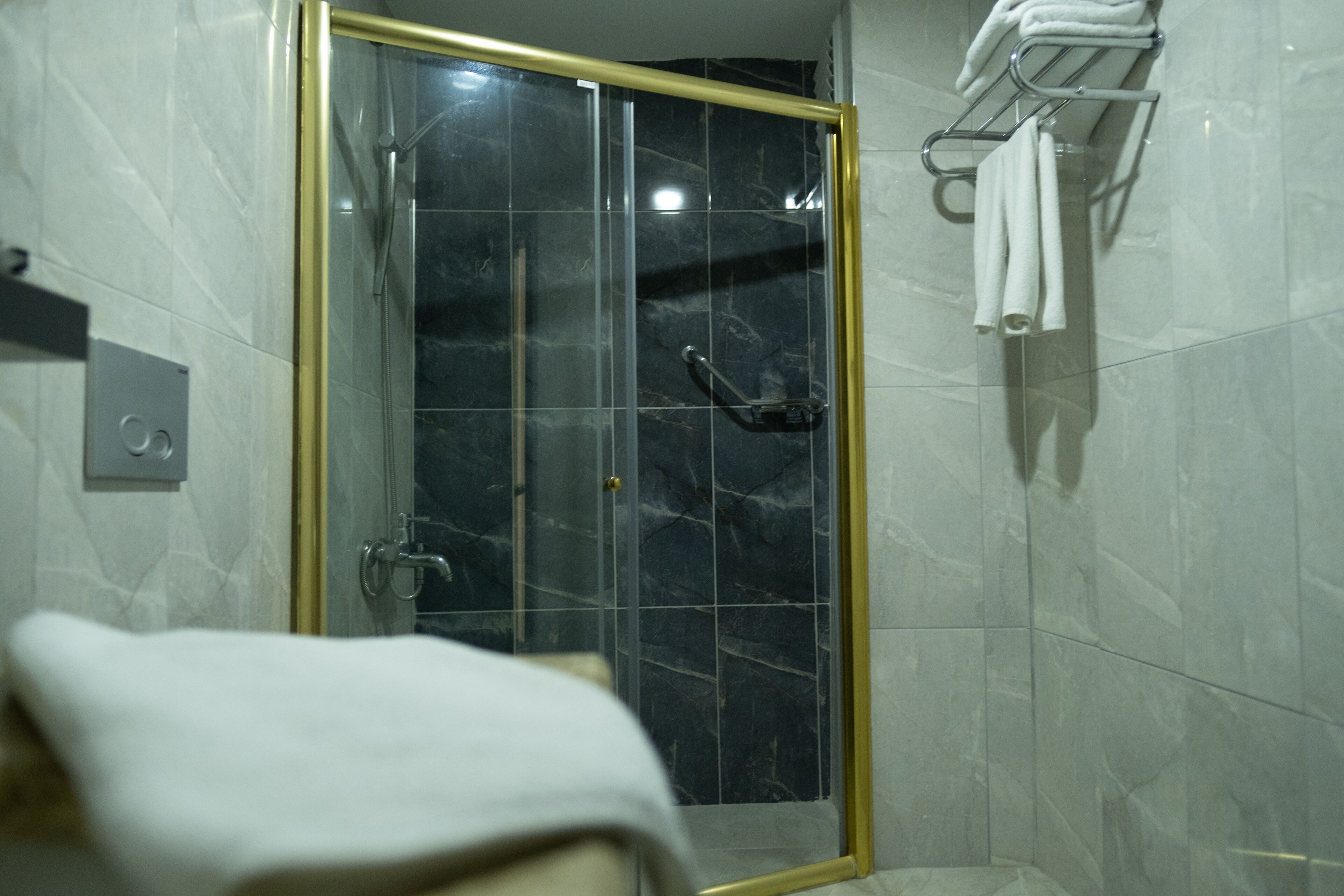 A bathroom with a glass-enclosed shower, a towel rack, and a toilet.