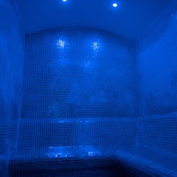 Steam room