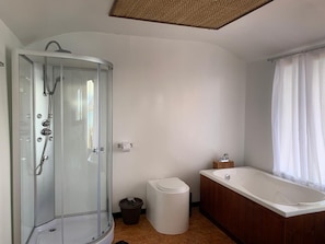 Free toiletries, hair dryer, bathrobes, towels