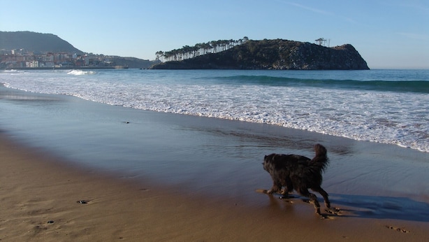 Beach nearby - Pensión Zelaigane (Mendexa)