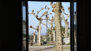 View from property - Pensión Zelaigane (Mendexa)