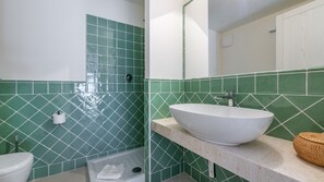 Shower, hair dryer, bidet, towels