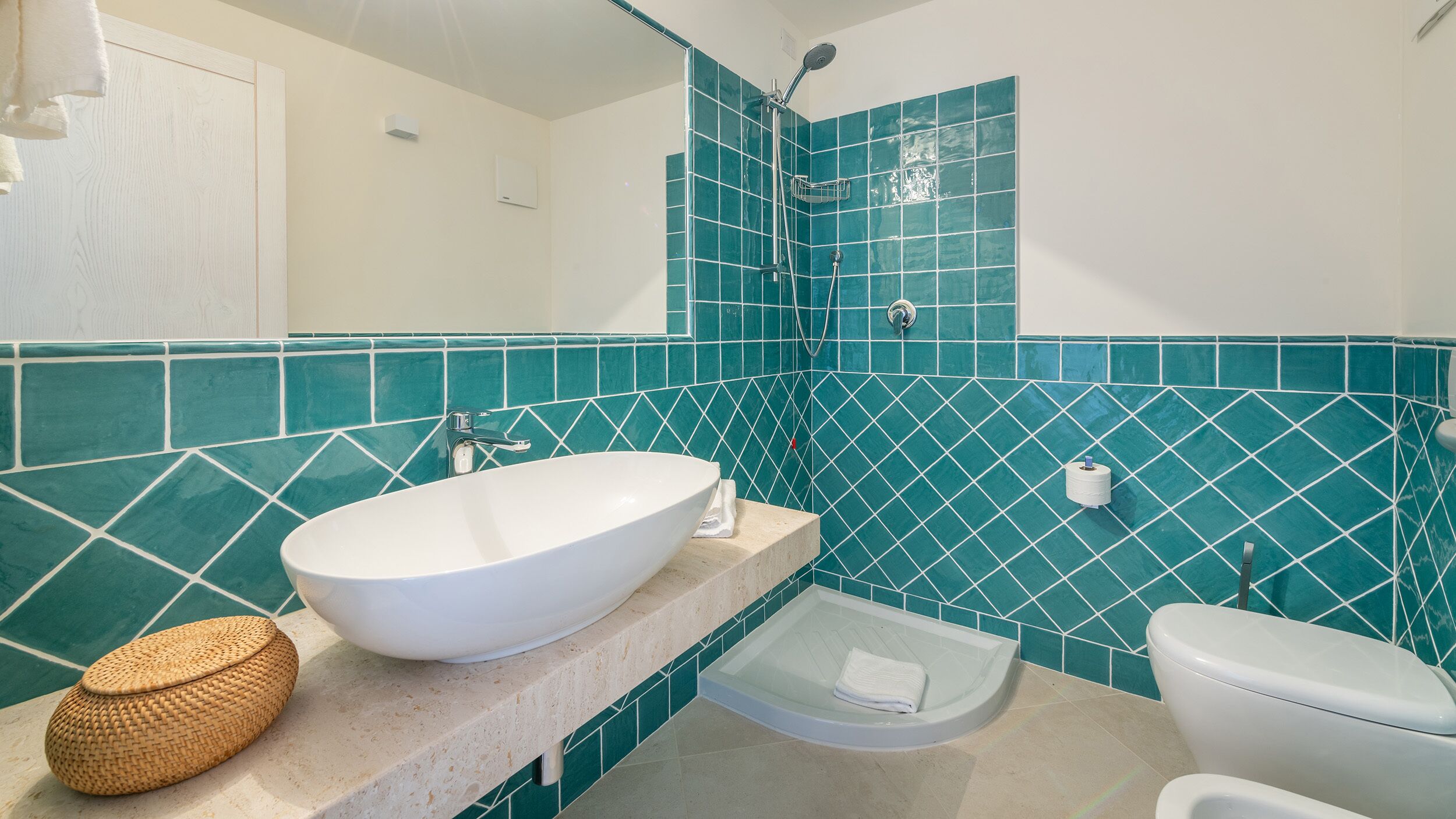 Shower, hair dryer, bidet, towels