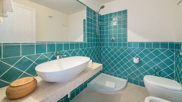 Shower, hair dryer, bidet, towels