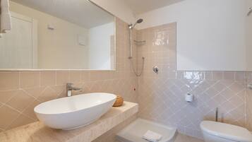 Shower, hair dryer, bidet, towels