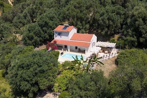 A house with a swimming pool, surrounded by dense greenery.
