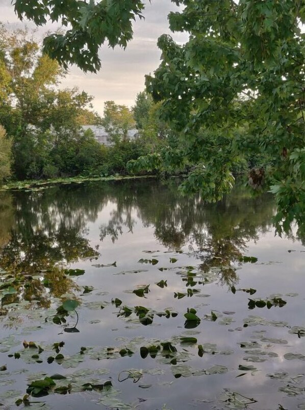 Lake