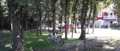 A bicycle parked under a tree in a park with a building in the background.