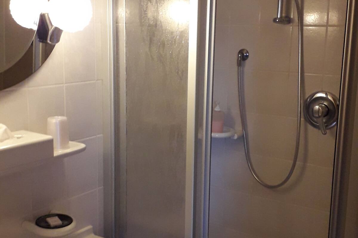 shower, towels, soap, shampoo