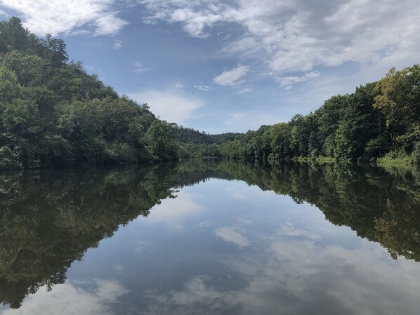 A calm lake surrounded by dense forest.