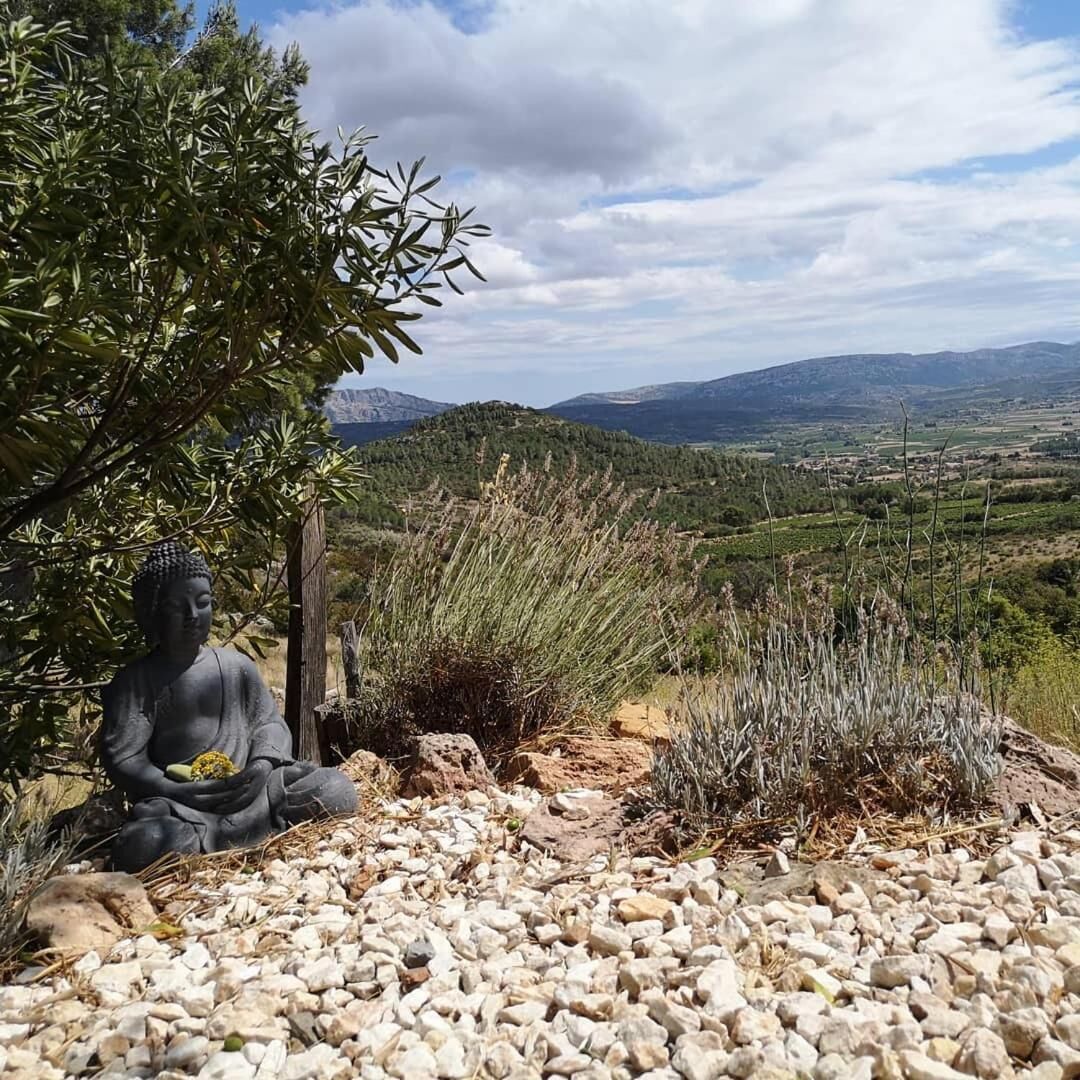 Terrain de l’hébergement 