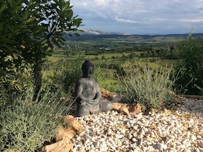 Une statue de Bouddha, placée dans un cadre naturel, avec vue sur des collines ondoyantes et un ciel nuageux.