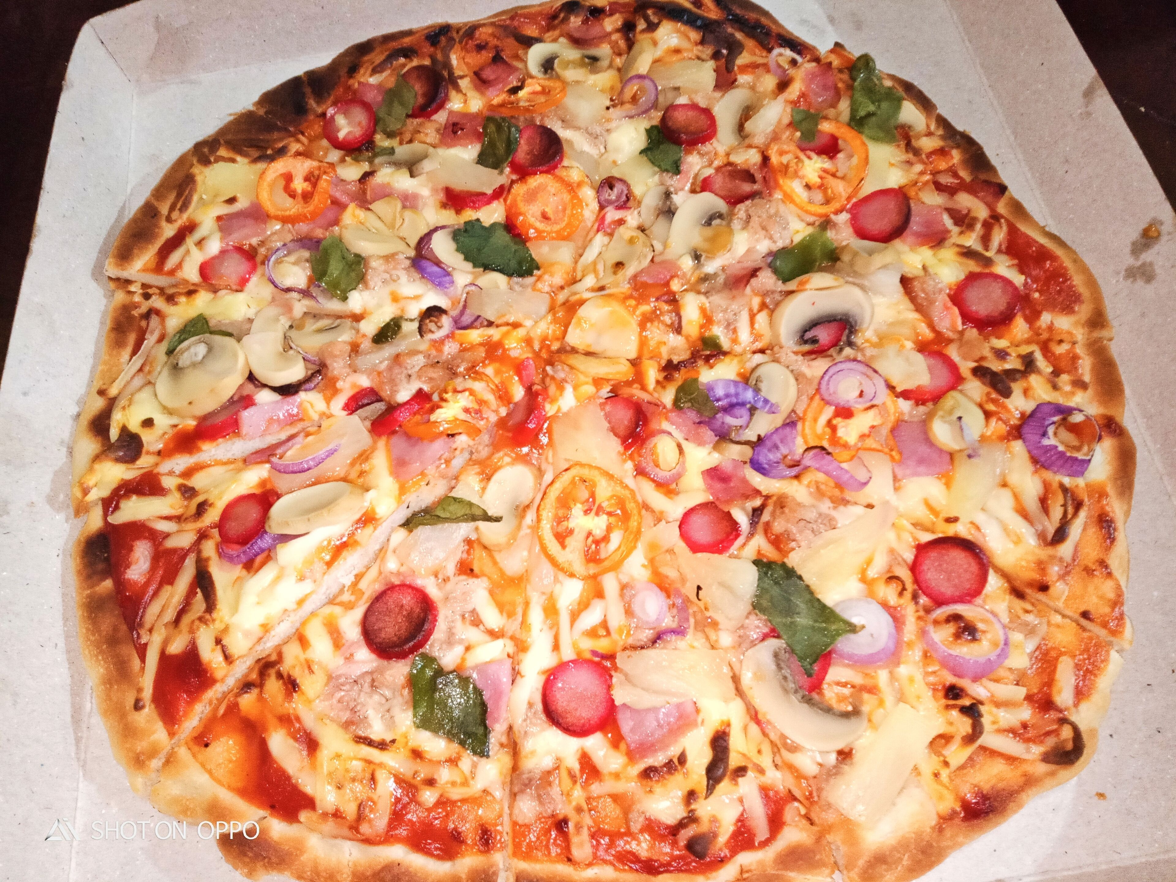 A pizza with various toppings like pepperoni, mushrooms, and onions.