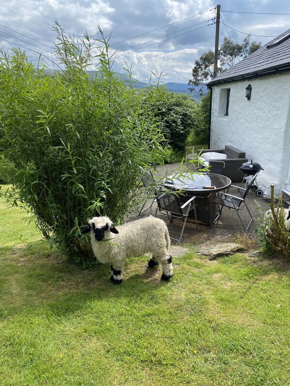 Cottage | Property grounds - Impeccable 2-bed Cottage Near Betws y Coed (Dolwyddelan)
