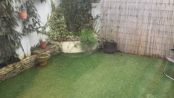 House | Property grounds