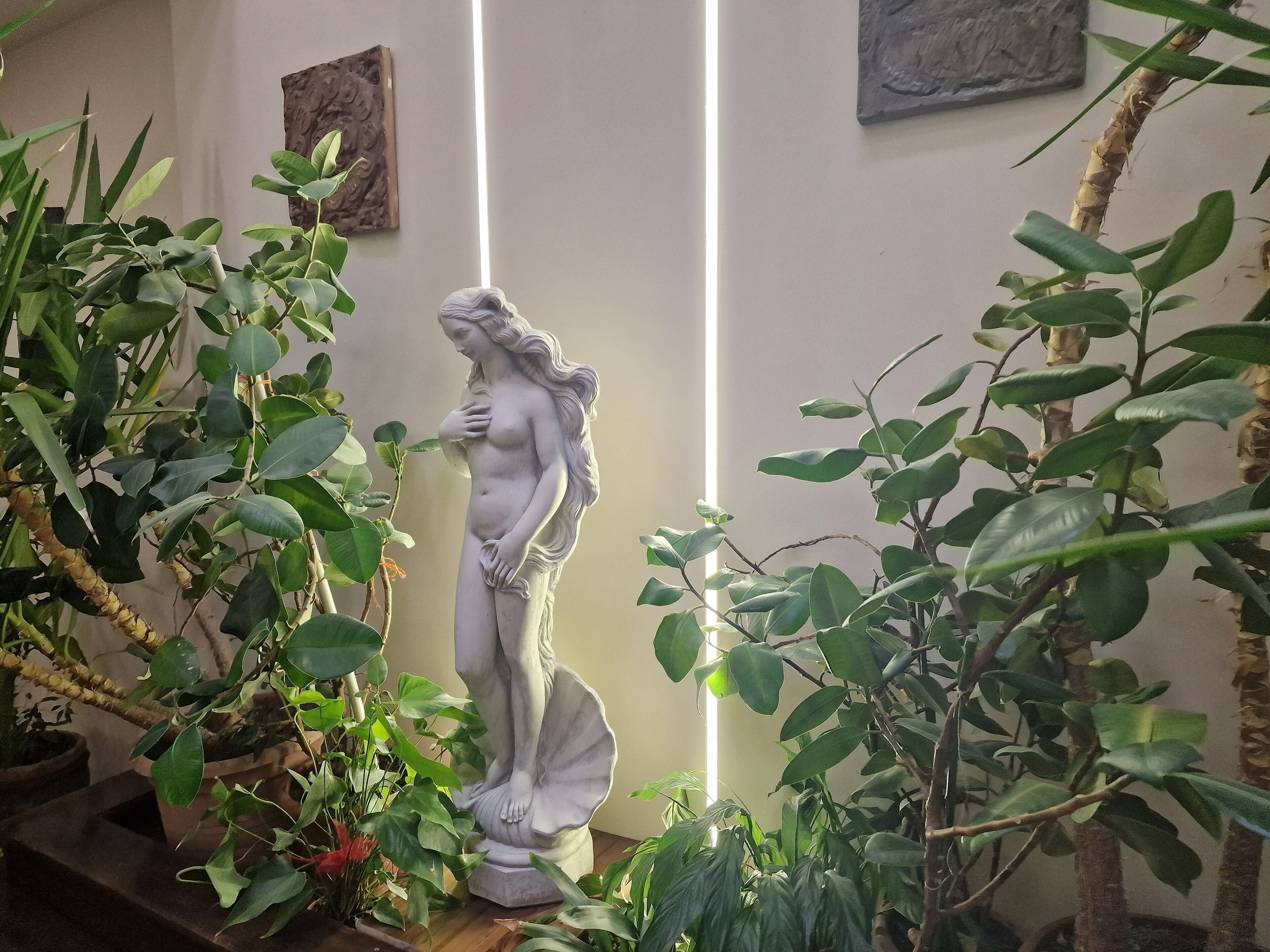 A statue of a woman in a garden setting with various plants around.